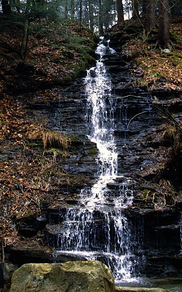 Bridal Falls, Cattaraugus Co., NY