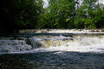 Phelps Rapids