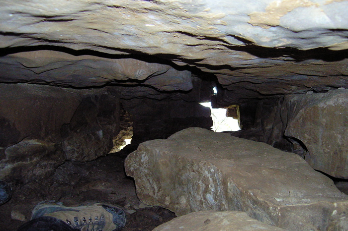 Salamander Cave